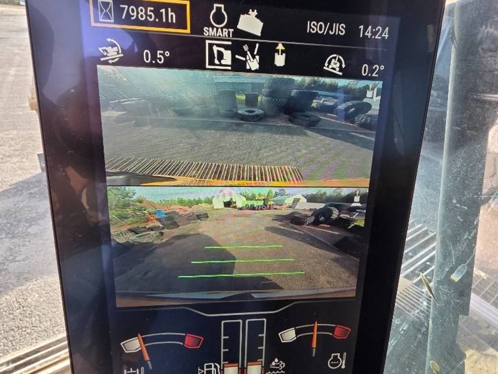 cat-323,85e2c4a2.jpg
