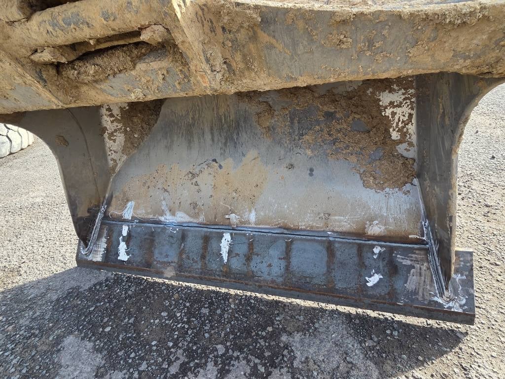 cat-323,8c65439f.jpg